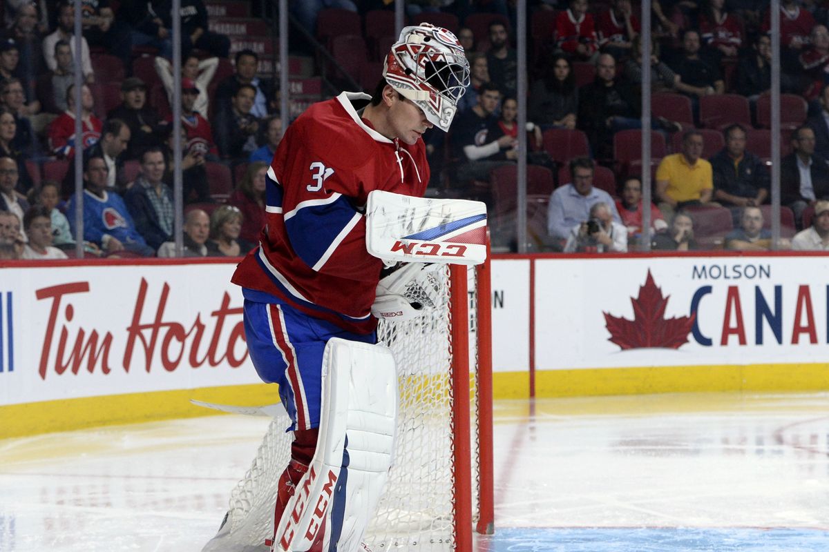 51% des 8000 personnes sondées veulent voir Price partir | Fucale à la rescousse des IceCaps? | Nesterov rêve en couleur