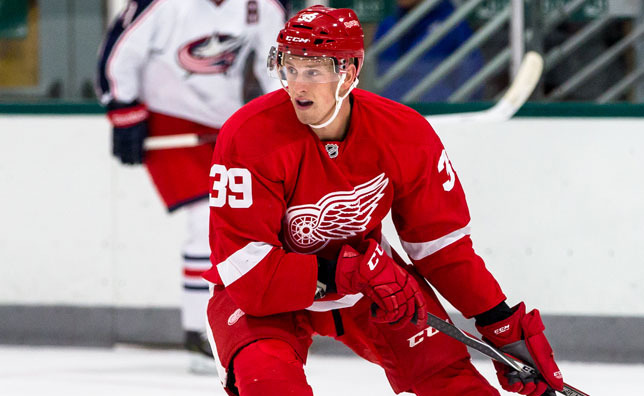 Les Red Wings de retour en séries dès l'an prochain? | Mete et les Knights résistent | En rafale