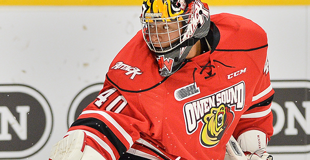 Michael McNiven est nommé gardien de l'année dans la OHL | En théorie, Fucale est le 5ème gardien, dans la hiérarchie