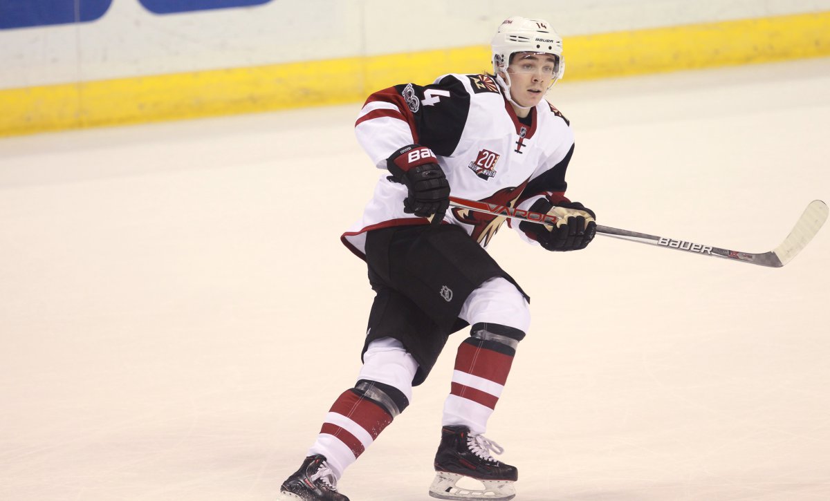 Top 10 : les candidats au trophée Calder en 2018