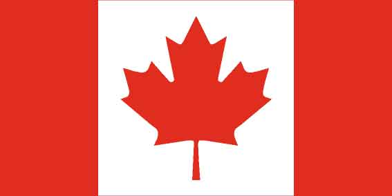 Un ancien journaliste français croit que le Canada devrait créer sa propre ligue nationale