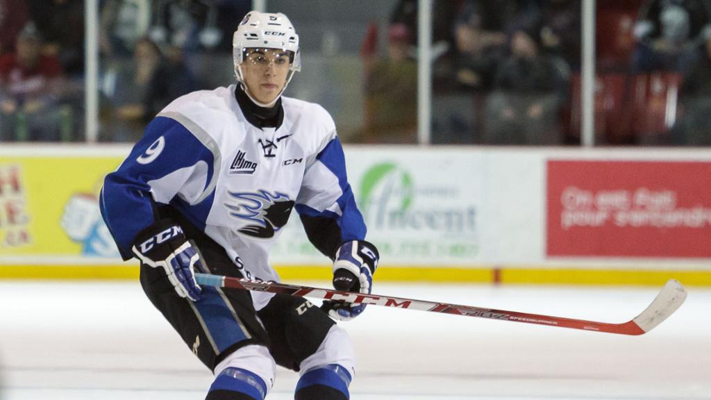 La LHJMQ devrait être bien représentée au prochain repêchage amateur