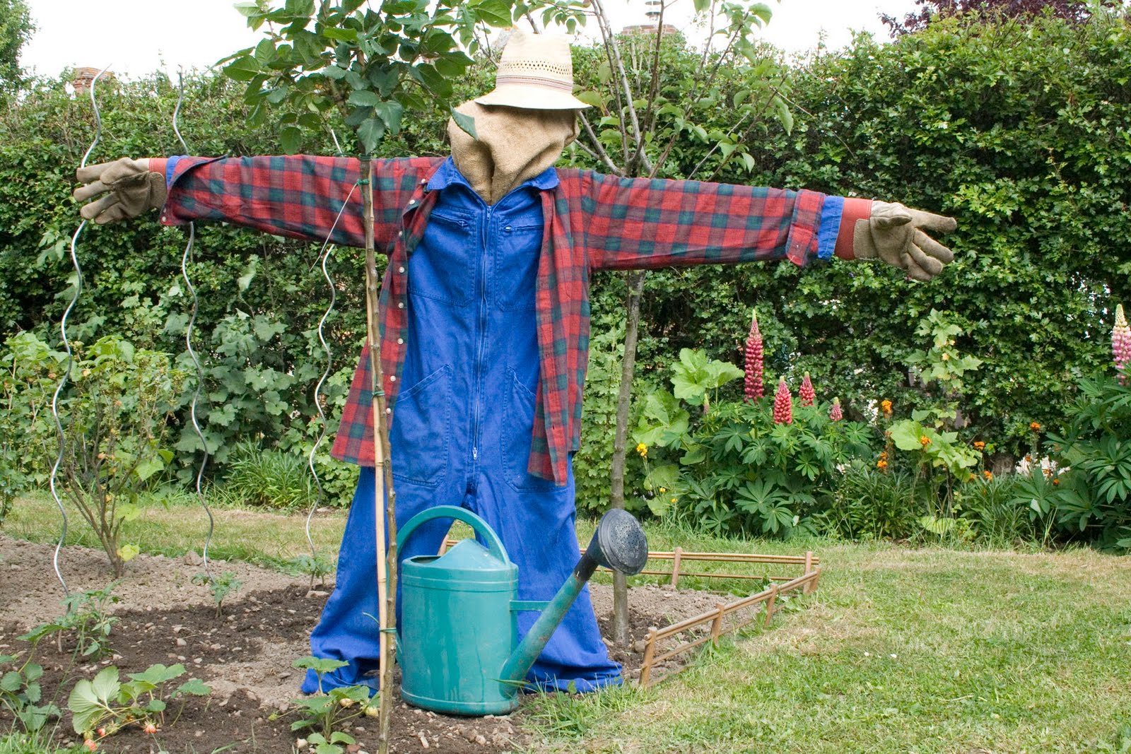 Michael McCarron et un épouvantail se placent dans une même phrase