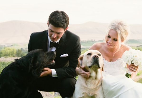 C’est maintenant la faute à Stéphane Waite