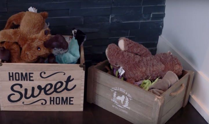 Andrew Shaw fait hommage à Donald Trump… à sa façon