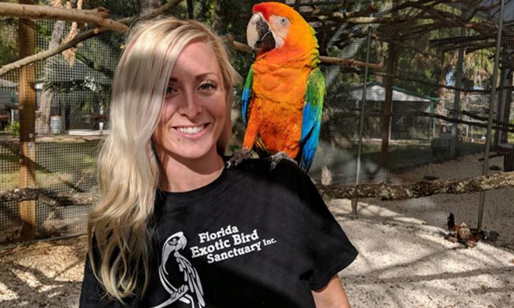 Marc Bergevin pourrait-il remplacer Trevor Timmins par un perroquet?