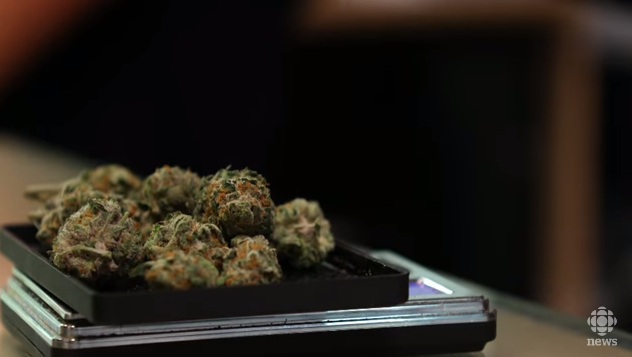 La LNH devra s'adapter à la légalisation de la marijuana