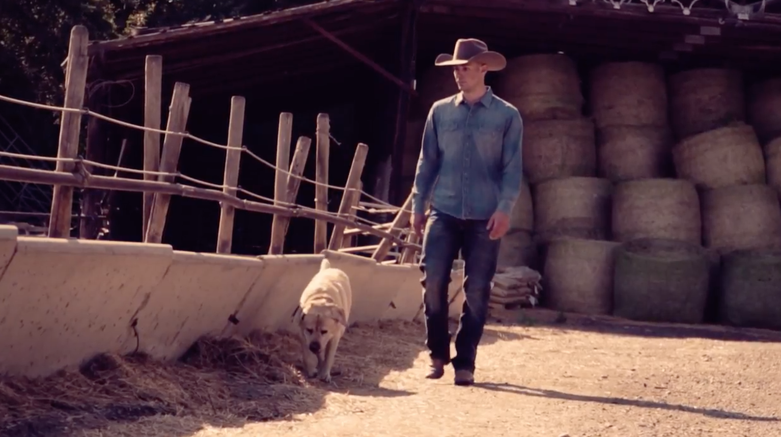 Le Canadien aide la cause de Carey Price