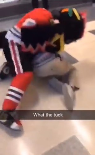 Quand la mascotte des Blackhawks se bat contre un partisan