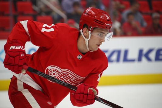 Filip Zadina et Joe Veleno pourraient jouer en République tchèque en 2021