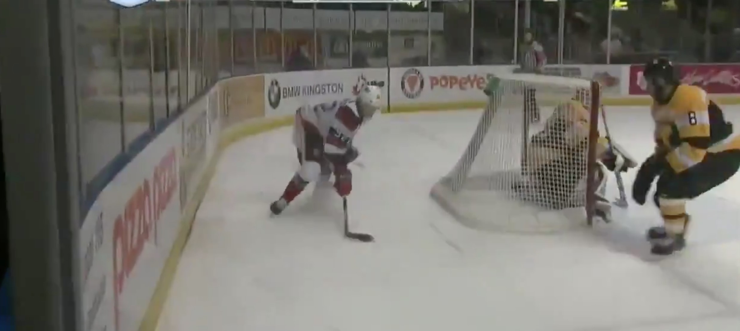 Top-5 : un but effarant marqué dans la OHL