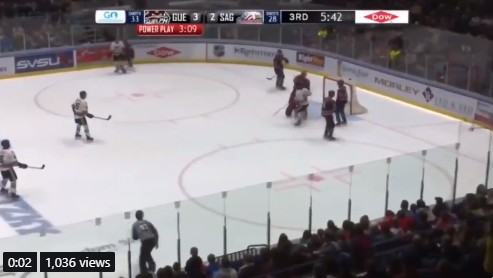 Un gardien dans la OHL a été suspendu 5 matchs pour avoir lancé une rondelle dans les estrades