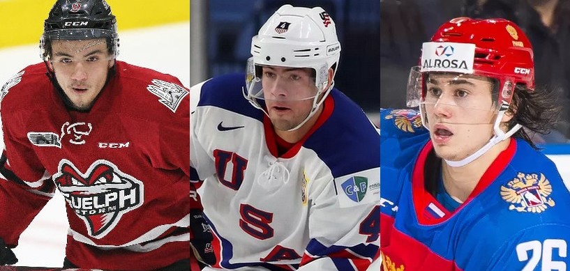 Les espoirs du Canadien ont connu une année extraordinaire