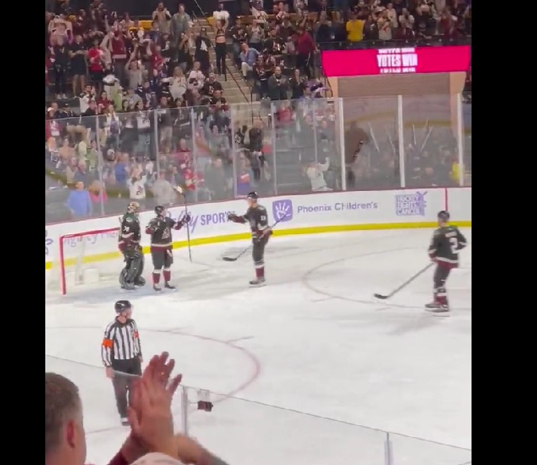 Top-5 : Première victoire au Mullett Arena pour les Coyotes