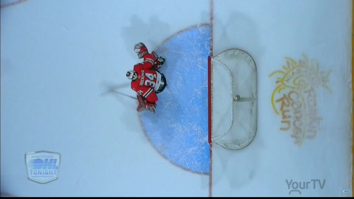 Deux joueurs expulsés, DG suspendu&#8230; De lourdes conséquences pour les IceDogs du Niagara