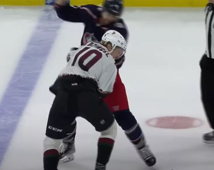 Ryan Dzingel songe à prendre sa retraite en raison de son plus récent séjour en Arizona