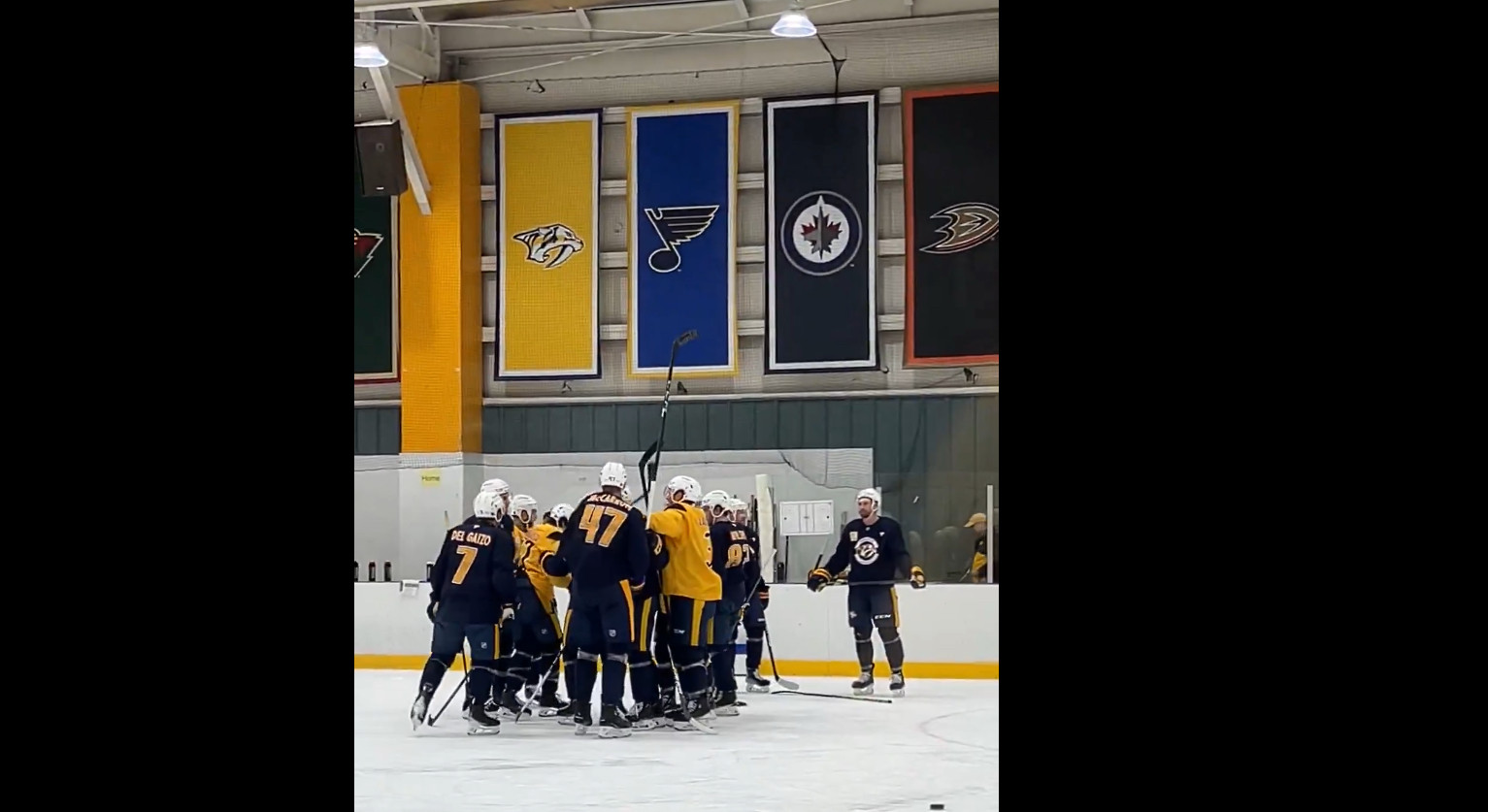 Bataille et vestiaire toxique : Nashville et Anaheim font parler d'eux en mal