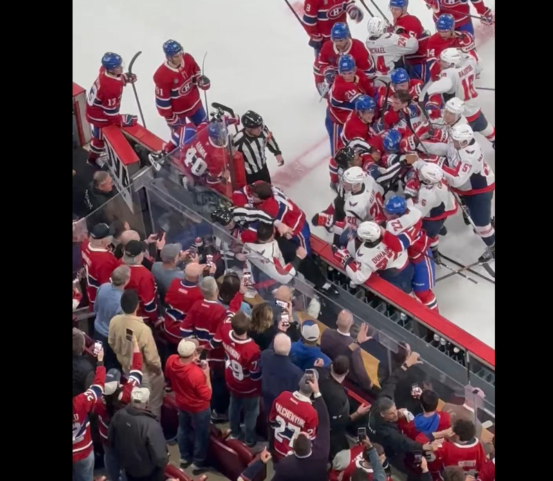 Josh Anderson et Tom Wilson se battent sur le banc des Caps