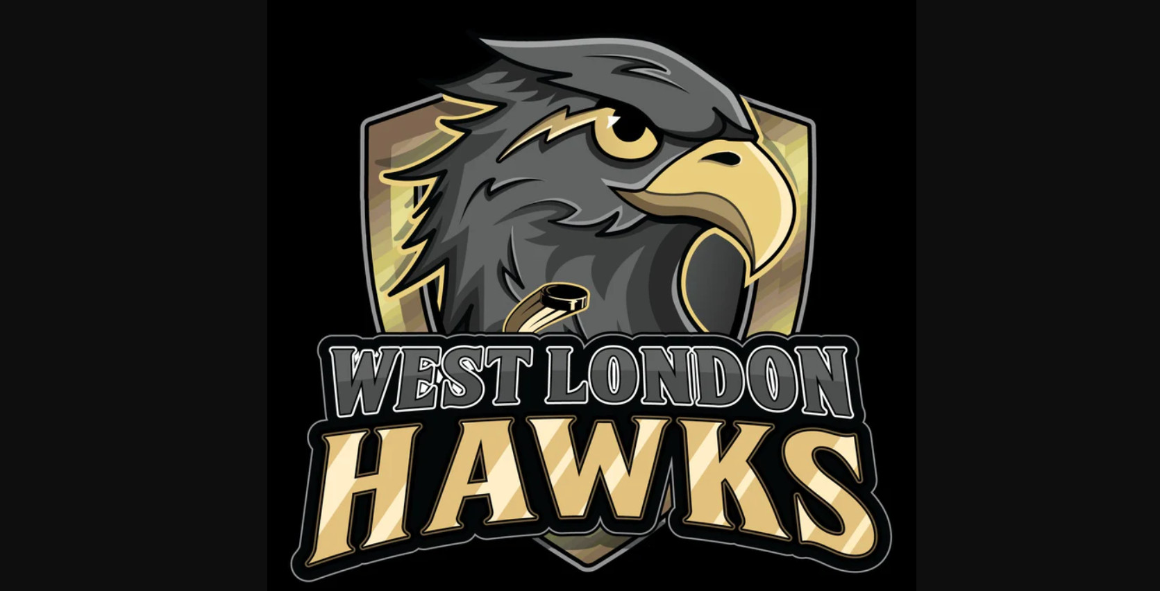 Images de hockeyeurs nus sur Snapchat : deux jeunes et trois entraîneurs suspendus