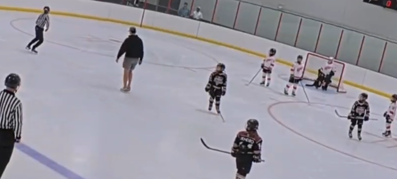 VIDÉO | Max Pacioretty expulsé d'un match de son fils